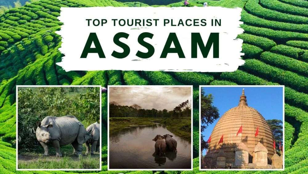 The Golden Land: Why Assam is the Soul of North East India ??