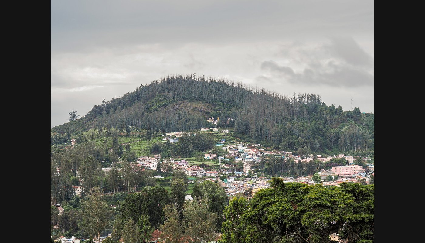 Ooty Nilgiris Guide: Toy Train, Tea Gardens and Botanical Gardens