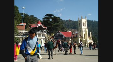 Shimla and Kufri Guide: Mall Road, Toy Train and Pine Views