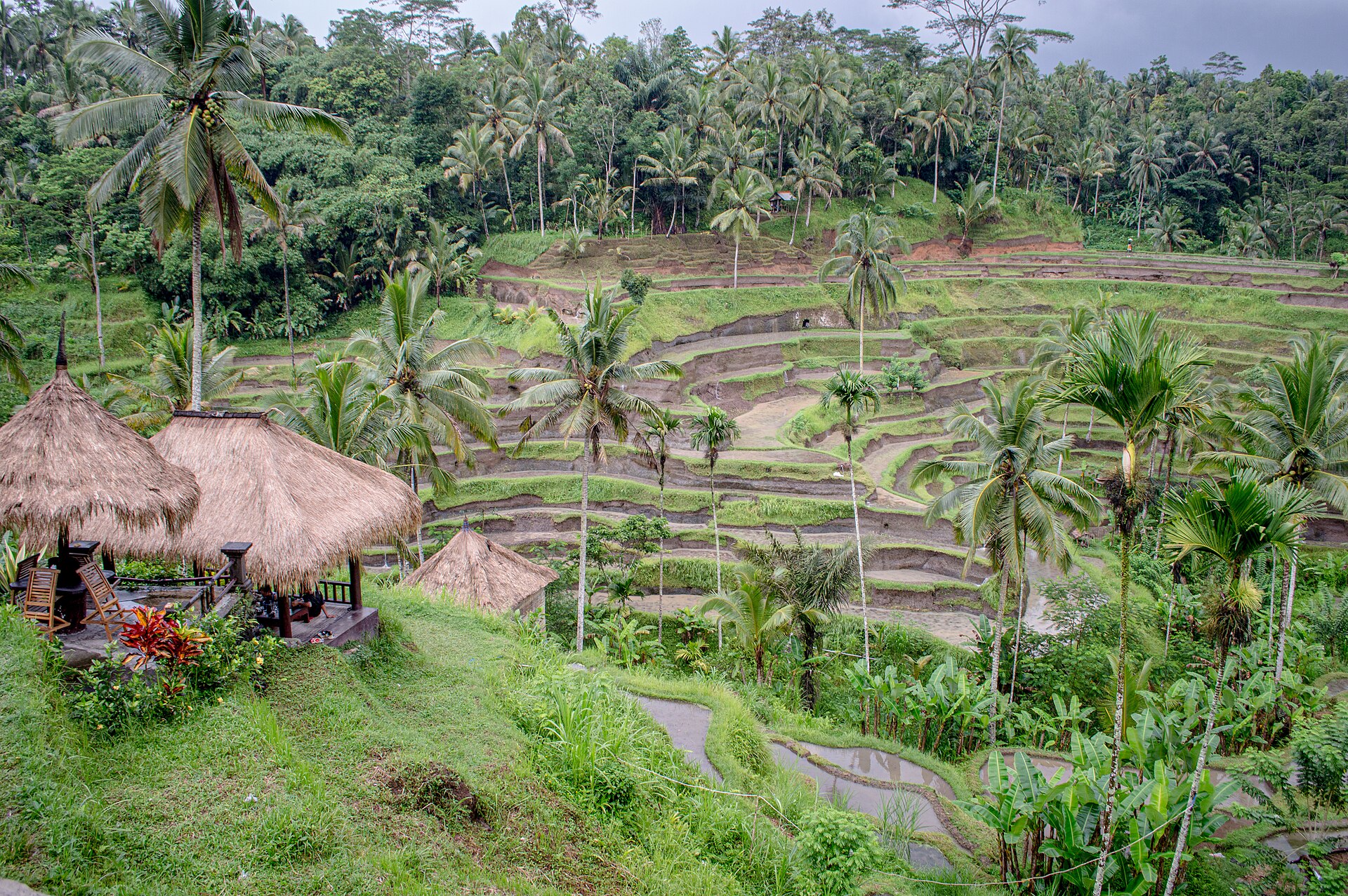 Bali Ubud Wellness Retreat - 4N/5D